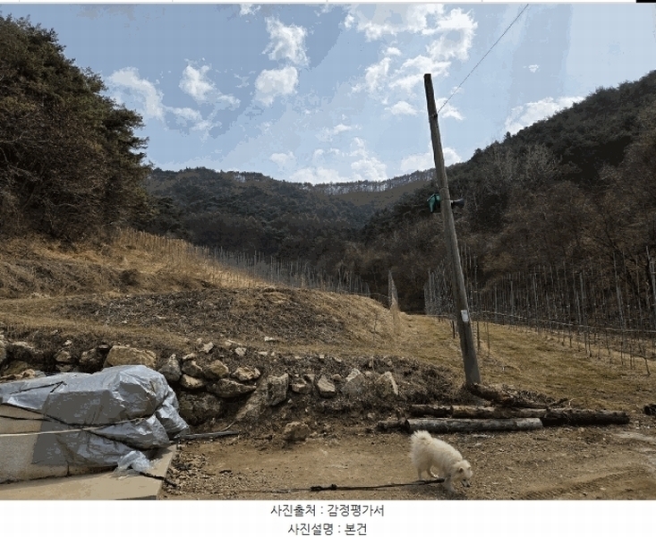 2025타경100206 경상북도 봉화군 물야면 개단리 110 과수원 경매 이미지
