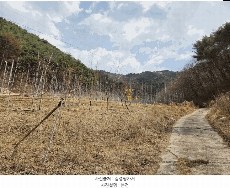 2025타경100206 경상북도 봉화군 물야면 개단리 110 과수원 경매 이미지