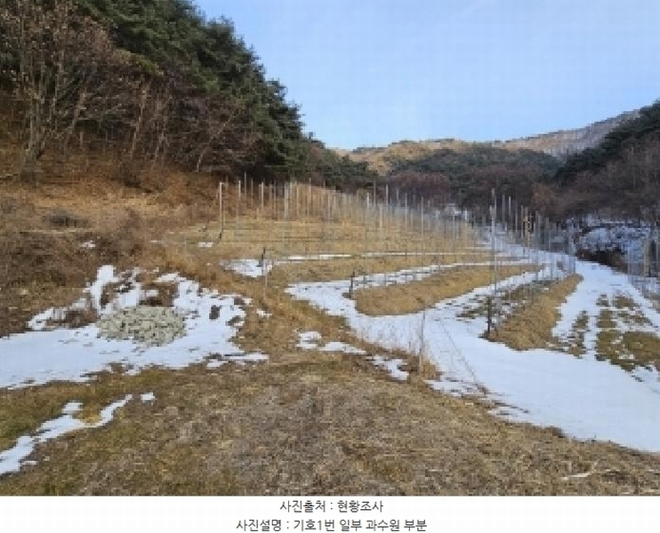 2025타경100206 경상북도 봉화군 물야면 개단리 110 과수원 경매 이미지