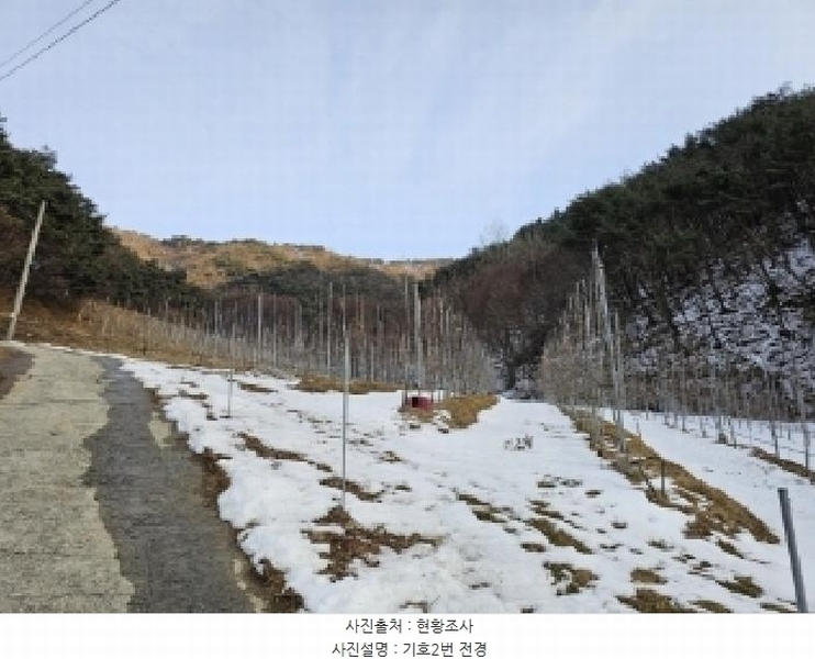 2025타경100206 경상북도 봉화군 물야면 개단리 110 과수원 경매 이미지