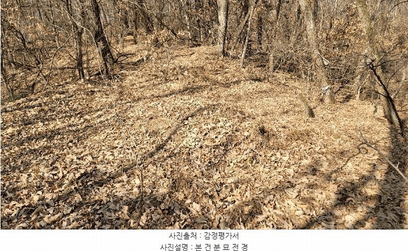 2025타경100240 경상북도 안동시 풍산읍 상리리 산31-5 임야 경매 이미지