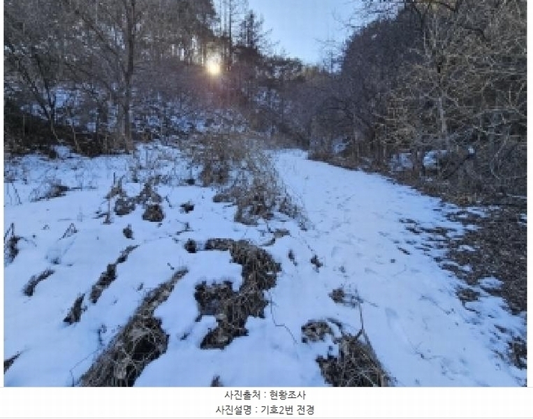 2025타경100241 경상북도 봉화군 소천면 분천리 696 농지 경매 이미지