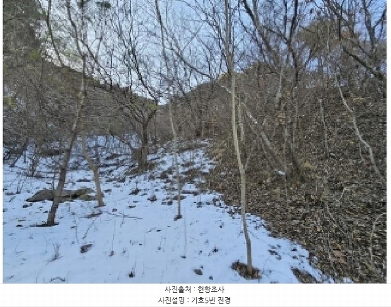 2025타경100241 경상북도 봉화군 소천면 분천리 696 농지 경매 이미지