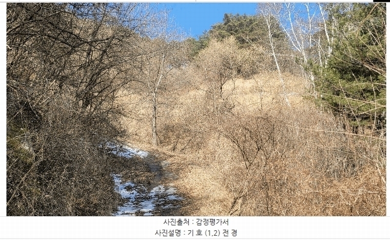 2025타경100241 경상북도 봉화군 소천면 분천리 696 농지 경매 이미지