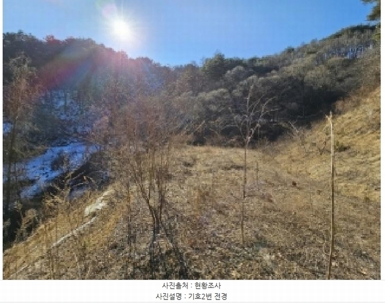2025타경100241 경상북도 봉화군 소천면 분천리 696 농지 경매 이미지