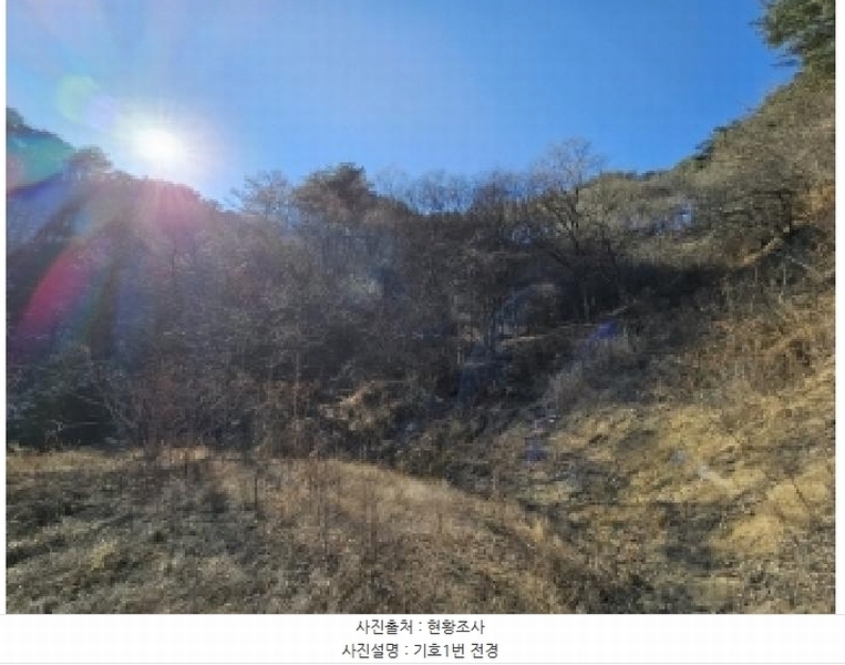 2025타경100241 경상북도 봉화군 소천면 분천리 696 농지 경매 이미지