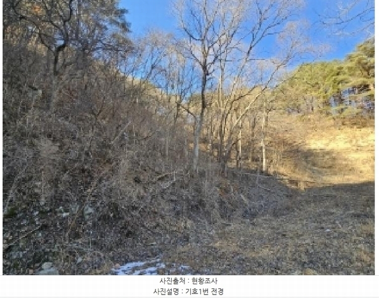 2025타경100241 경상북도 봉화군 소천면 분천리 696 농지 경매 이미지