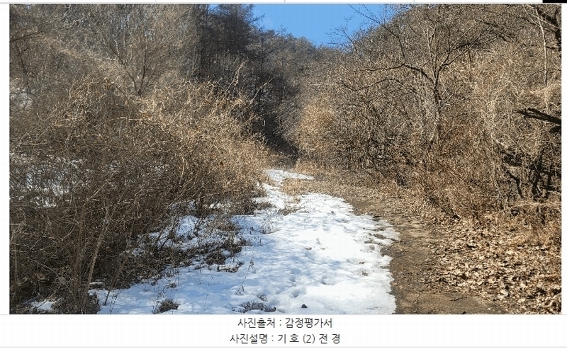 2025타경100241 경상북도 봉화군 소천면 분천리 696 농지 경매 이미지