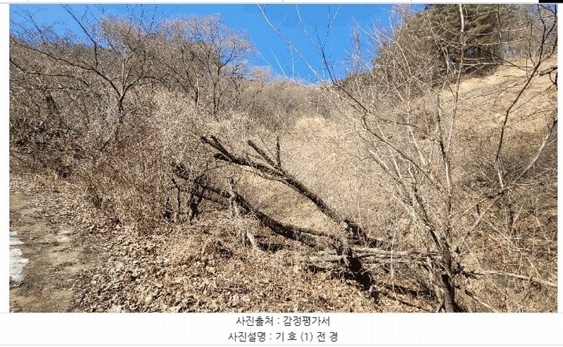2025타경100241 경상북도 봉화군 소천면 분천리 696 농지 경매 이미지
