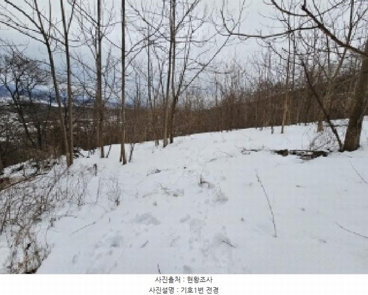 2025타경100256 경상북도 영주시 봉현면 두산리 469-1 농지 경매 이미지