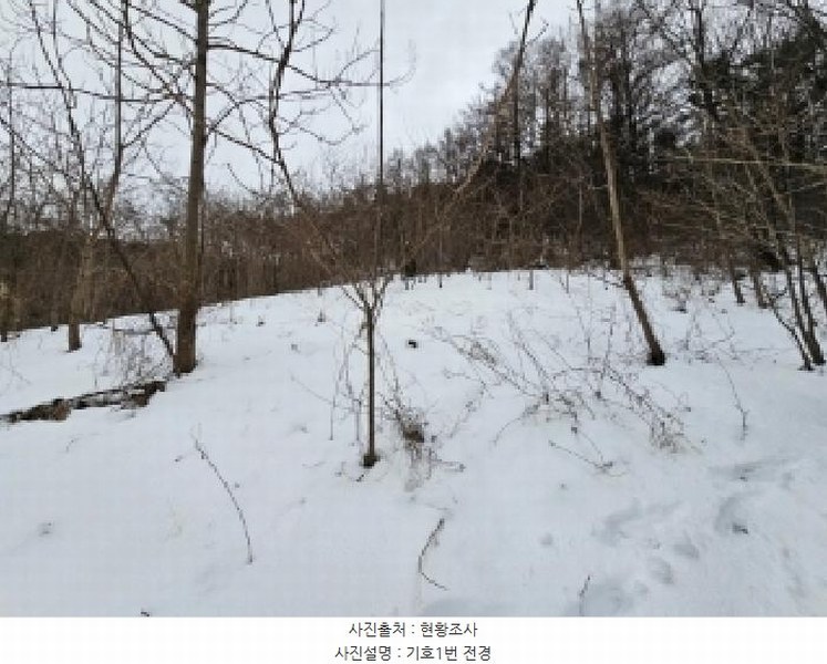 2025타경100256 경상북도 영주시 봉현면 두산리 469-1 농지 경매 이미지