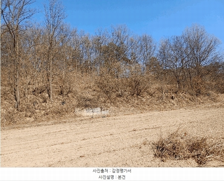 2025타경100260 경상북도 안동시 와룡면 이상리 산99-2 임야 경매 이미지