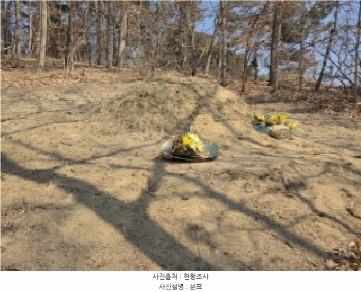 2025타경100260 경상북도 안동시 와룡면 이상리 산99-2 임야 경매 이미지