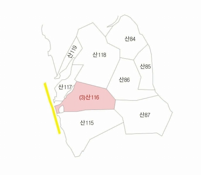 2025타경100269 경상북도 안동시 도산면 선양리 산116 임야 경매 이미지