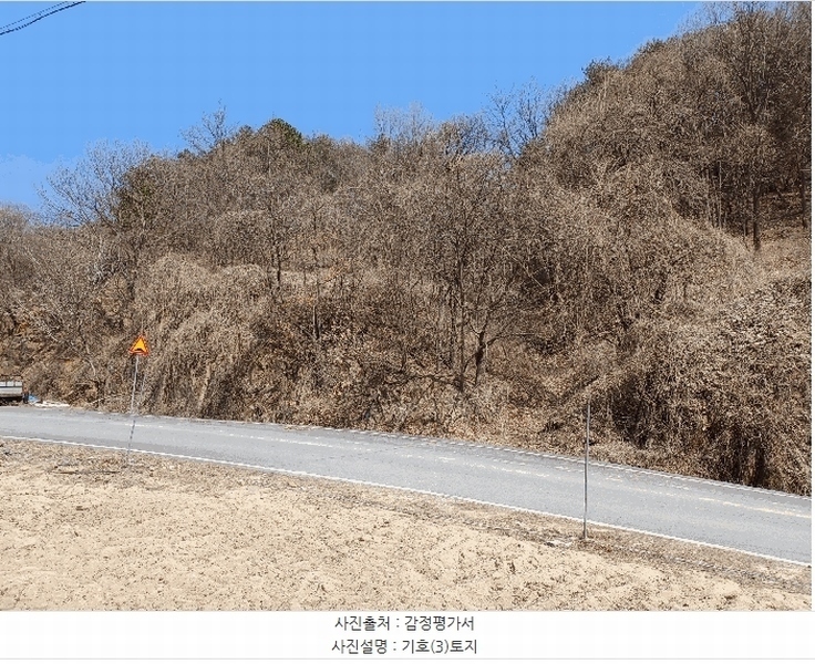 2025타경100269 경상북도 안동시 도산면 선양리 산116 임야 경매 이미지
