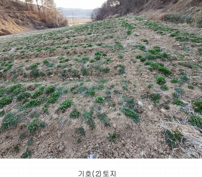 2025타경100296 경상북도 영주시 부석면 상석리 99-1 농지 경매 이미지