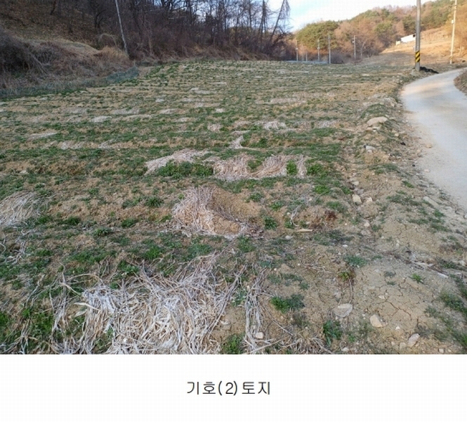 2025타경100296 경상북도 영주시 부석면 상석리 99-1 농지 경매 이미지