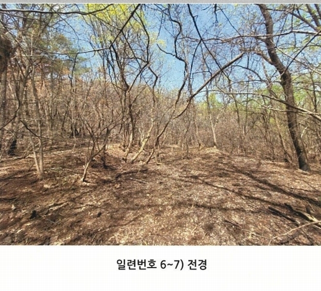 2025타경100302 경상북도 안동시 길안면 현하리 913 임야 경매 이미지