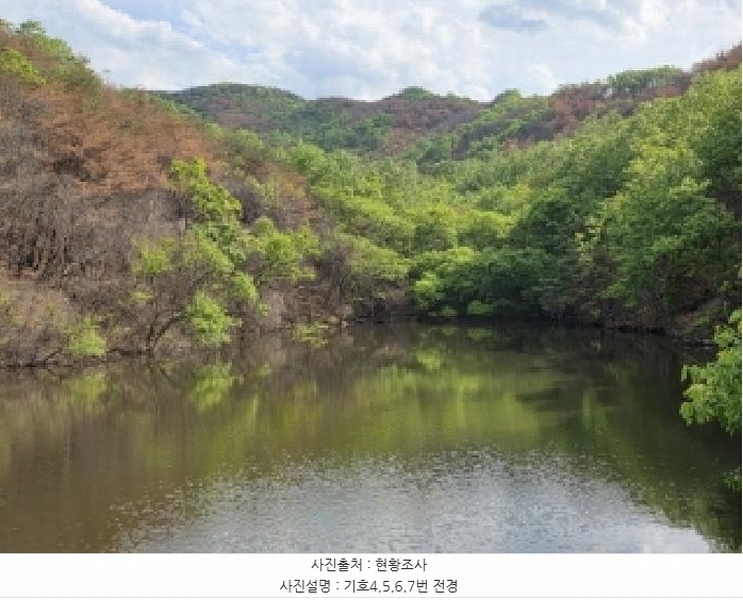2025타경100302 경상북도 안동시 길안면 현하리 913 임야 경매 이미지