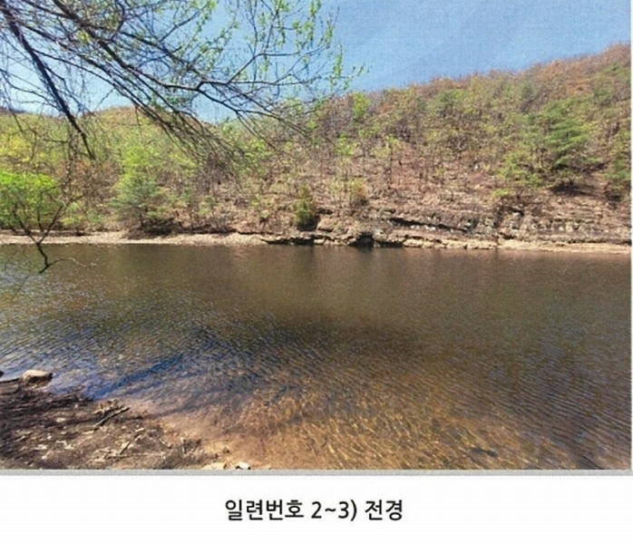 2025타경100302 경상북도 안동시 길안면 현하리 913 임야 경매 이미지