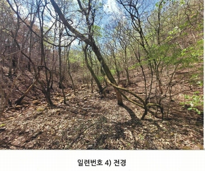 2025타경100302 경상북도 안동시 길안면 현하리 913 임야 경매 이미지