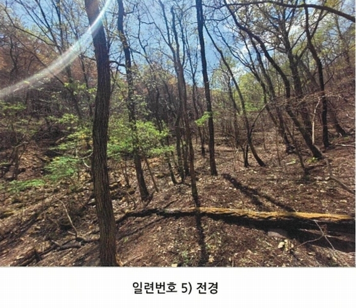 2025타경100302 경상북도 안동시 길안면 현하리 913 임야 경매 이미지