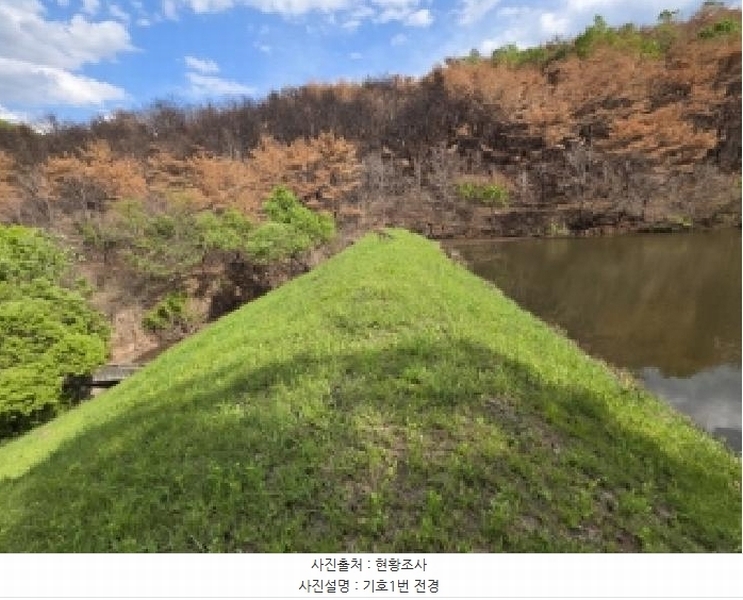 2025타경100302 경상북도 안동시 길안면 현하리 913 임야 경매 이미지
