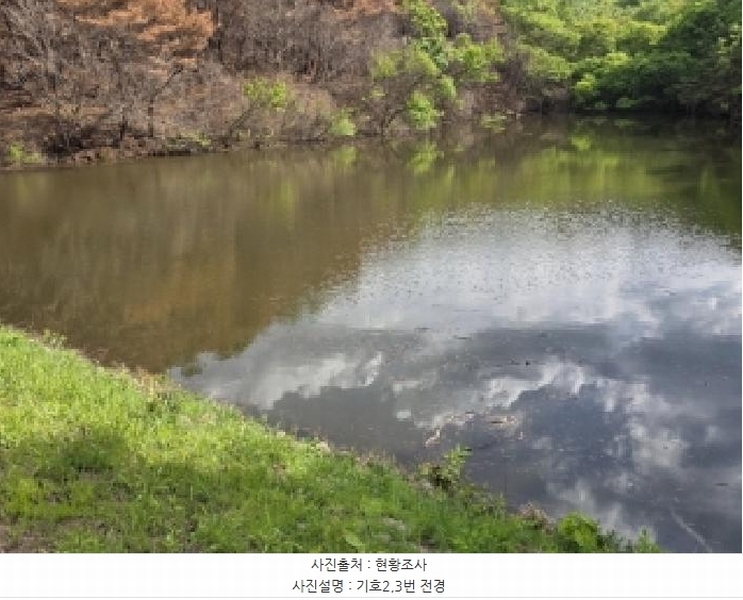 2025타경100302 경상북도 안동시 길안면 현하리 913 임야 경매 이미지