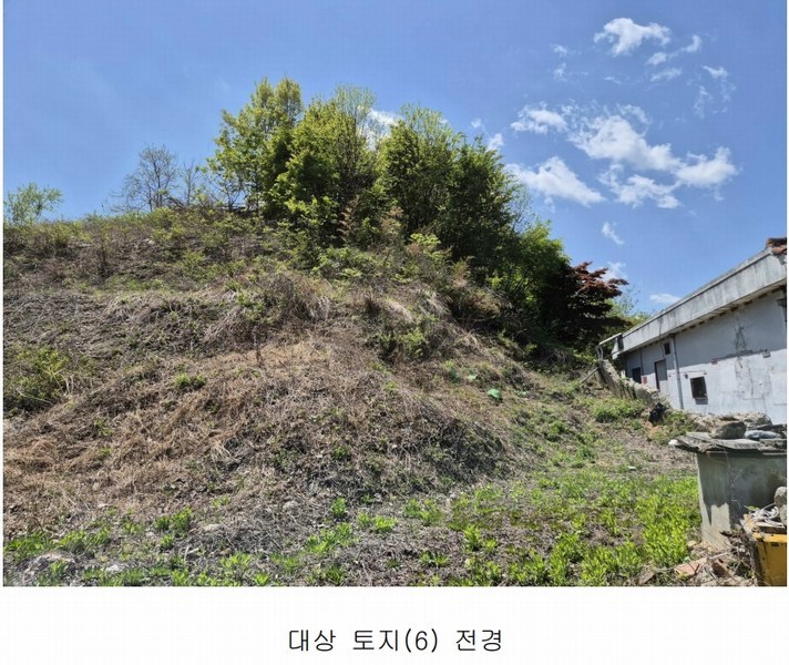 2024타경102700 경상북도 영주시 문정동 263-3 과수원 경매 이미지