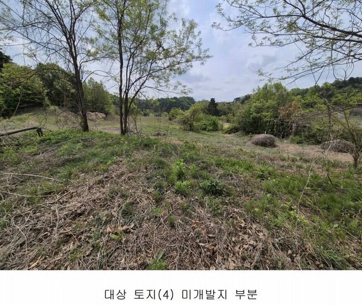 2024타경102700 경상북도 영주시 문정동 263-3 과수원 경매 이미지