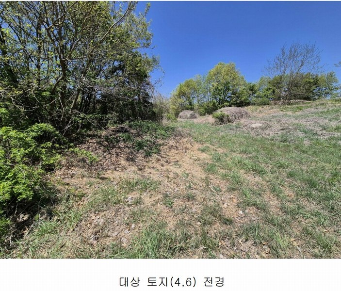 2024타경102700 경상북도 영주시 문정동 263-3 과수원 경매 이미지