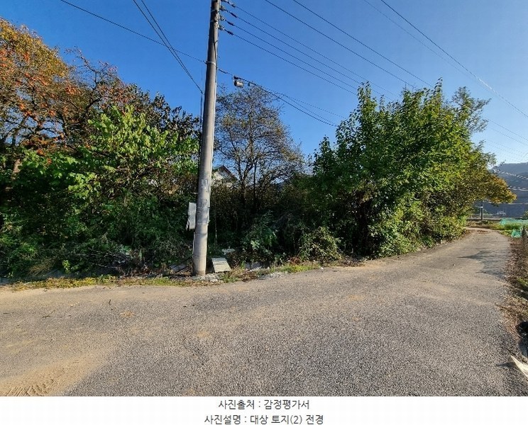 2024타경103321 경상북도 안동시 풍산읍 마애리 163 대지 경매 이미지
