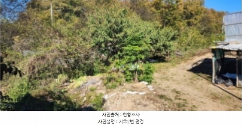 2024타경103321 경상북도 안동시 풍산읍 마애리 163 대지 경매 이미지