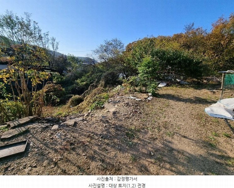 2024타경103321 경상북도 안동시 풍산읍 마애리 163 대지 경매 이미지