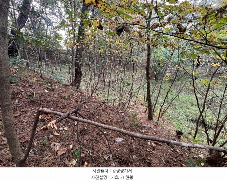 2024타경103833 경상북도 영주시 이산면 석포리 429 농지 경매 이미지