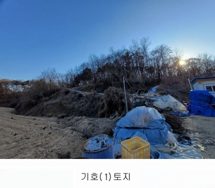 2025타경10037 경상북도 안동시 풍산읍 상리리 산39-2 임야 경매 이미지