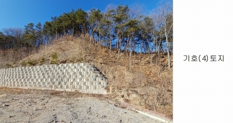 2025타경10037 경상북도 안동시 풍산읍 상리리 산39-2 임야 경매 이미지