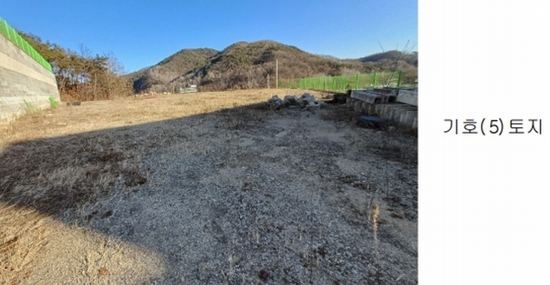 2025타경10037 경상북도 안동시 풍산읍 상리리 산39-2 임야 경매 이미지