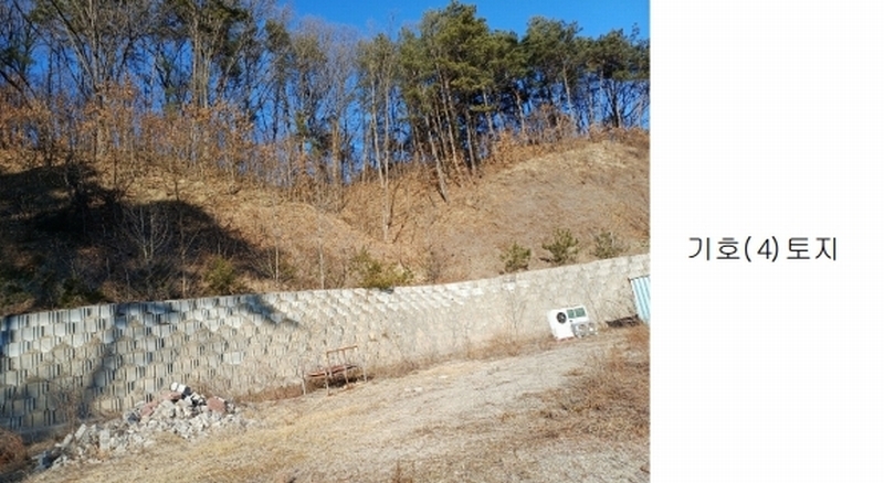 2025타경10037 경상북도 안동시 풍산읍 상리리 산39-2 임야 경매 이미지