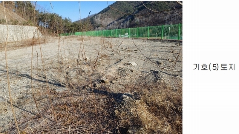 2025타경10037 경상북도 안동시 풍산읍 상리리 산39-2 임야 경매 이미지