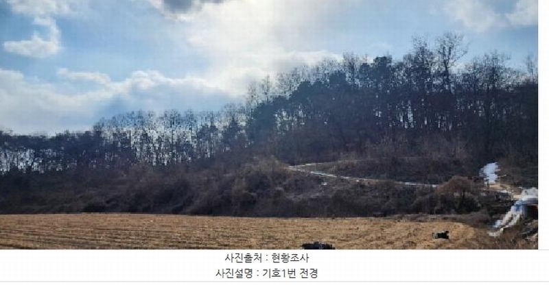 2025타경10037 경상북도 안동시 풍산읍 상리리 산39-2 임야 경매 이미지