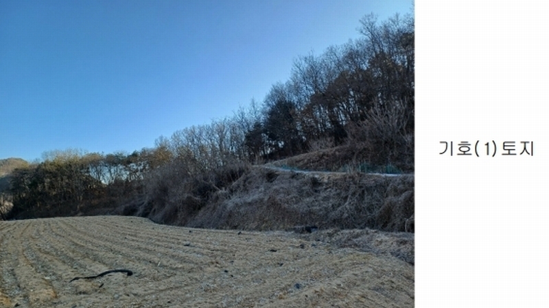 2025타경10037 경상북도 안동시 풍산읍 상리리 산39-2 임야 경매 이미지