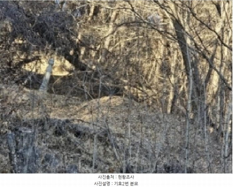 2025타경10068 경상북도 영주시 안정면 묵리 산18-5 임야 경매 이미지