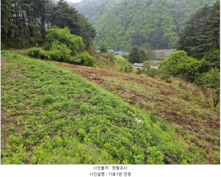 2025타경100255 경상북도 봉화군 소천면 분천리 740 농지 경매 이미지