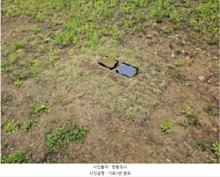 2025타경100255 경상북도 봉화군 소천면 분천리 740 농지 경매 이미지