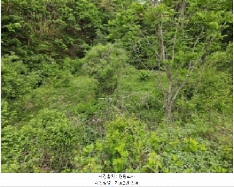 2025타경100255 경상북도 봉화군 소천면 분천리 740 농지 경매 이미지