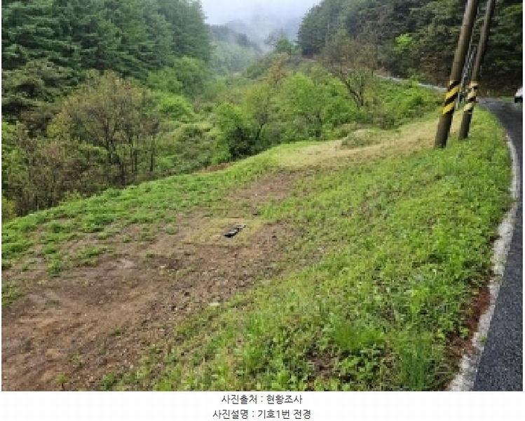 2025타경100255 경상북도 봉화군 소천면 분천리 740 농지 경매 이미지