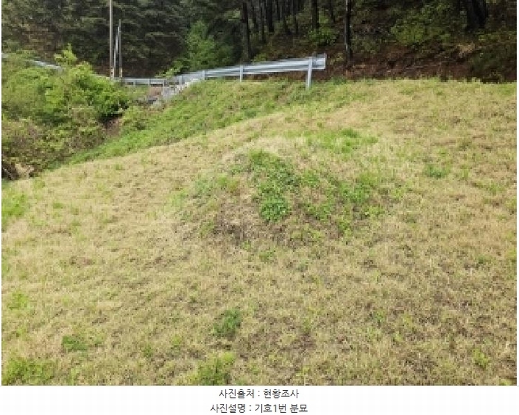 2025타경100255 경상북도 봉화군 소천면 분천리 740 농지 경매 이미지