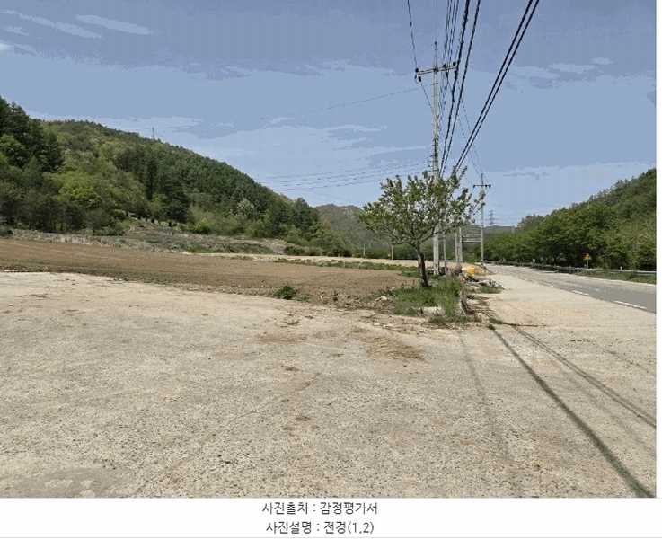 2025타경100276 경상북도 봉화군 명호면 도천리 381-16 과수원 경매 이미지