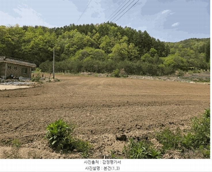 2025타경100276 경상북도 봉화군 명호면 도천리 381-16 과수원 경매 이미지